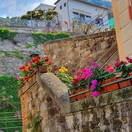 Vasto Apt Panoramico 3 Min Mare Lägenhet Camogli Exteriör bild